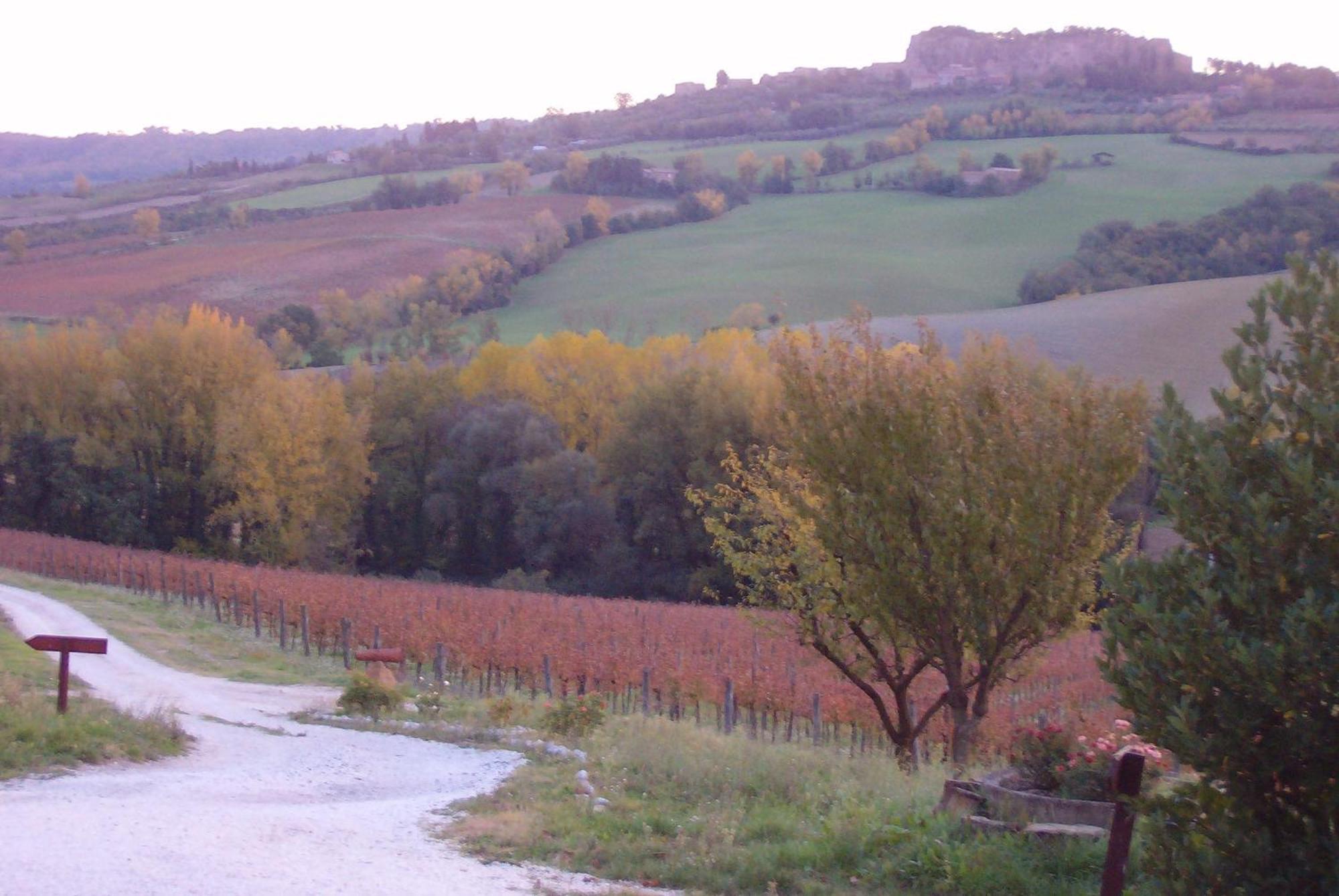 Agriturismo Cioccoleta Orvieto Exterior foto