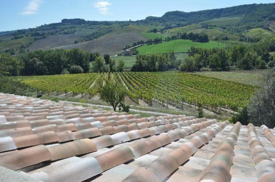 Agriturismo Cioccoleta Orvieto Exterior foto